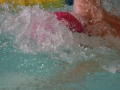 IMG_3521 (800x533)