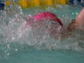 IMG_3523 (800x533)