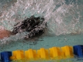 IMG_3525 (800x533)