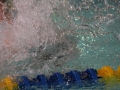 IMG_3528 (800x533)