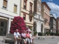 IMG_2760_800
