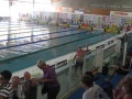 IMG_2800_800