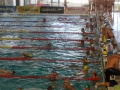SAM_2083_800