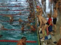 SAM_2085_800