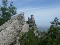SAM_2160_800