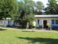IMG_0707 (800x533)