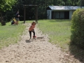 IMG_0754 (800x533)