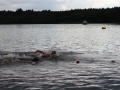 IMG_0809 (800x533)