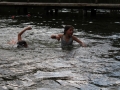 IMG_0830 (800x533)