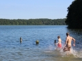 IMG_1045 (800x533)