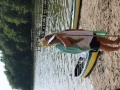 IMG_1063 (533x800)