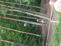 IMG_1087 (533x800)