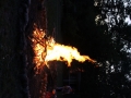 IMG_1148 (533x800)