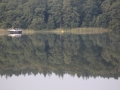 IMG_1150 (800x533)