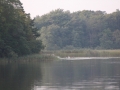 IMG_1160 (800x533)