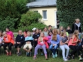 IMG_1179 (800x533)