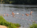 200