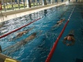 IMG_2082_800