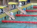 P1000372_800