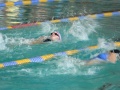 P1000394_800
