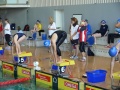 P1000411_800