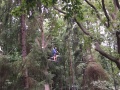 IMG_1482
